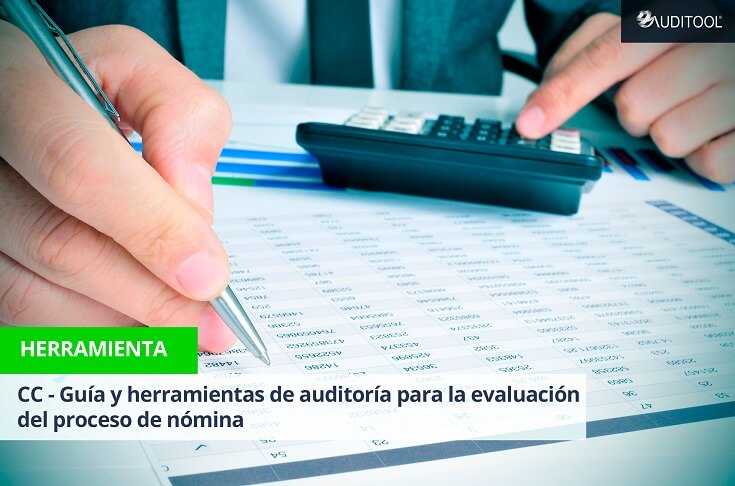 CC - Guía y herramientas de auditoría para la evaluación del proceso de